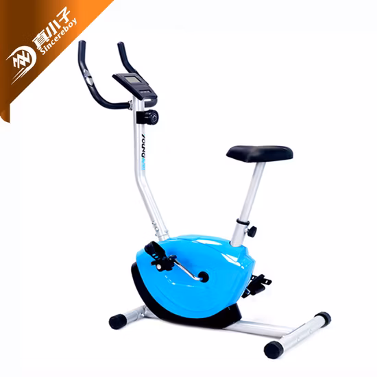 Home Fitness Equipment Recumbent/Exercise/Spinning/Magnetic/Upright Bike for Home Use