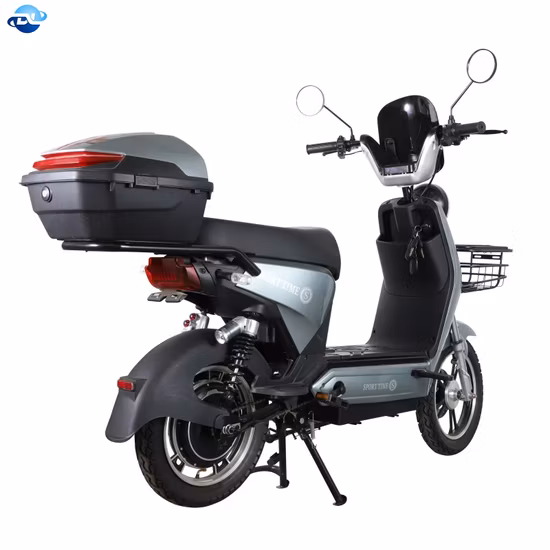 Multifunction Wholesale Rowing Type Patent Design Spin Bike