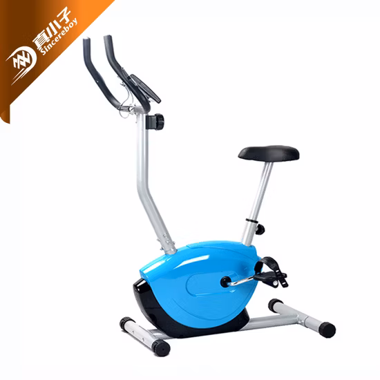 Home Fitness Equipment Recumbent/Exercise/Spinning/Magnetic/Upright Bike for Home Use
