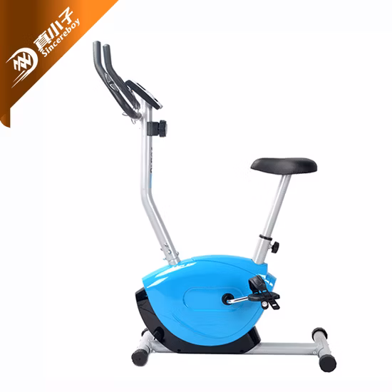 Home Fitness Equipment Recumbent/Exercise/Spinning/Magnetic/Upright Bike for Home Use
