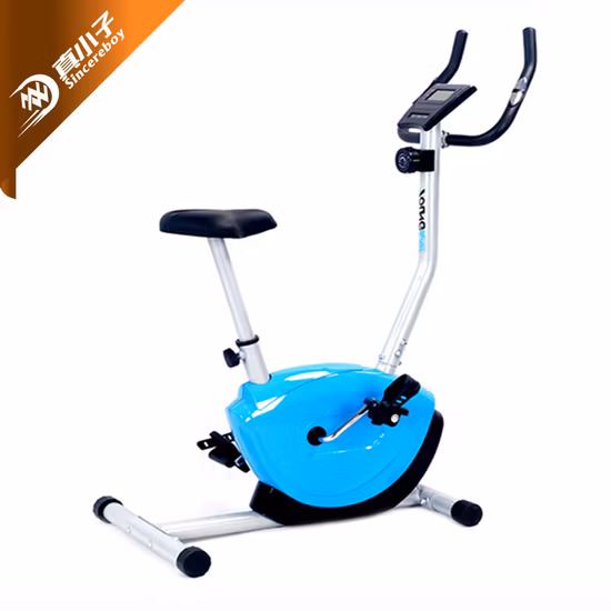 Home Fitness Equipment Recumbent/Exercise/Spinning/Magnetic/Upright Bike for Home Use