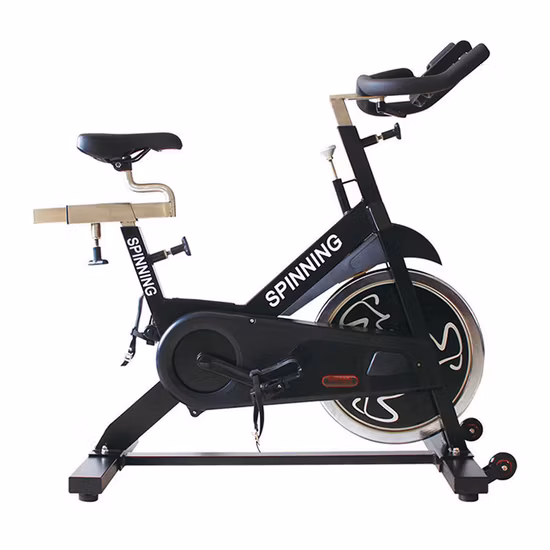 Spin Bike magnetica di vendita calda