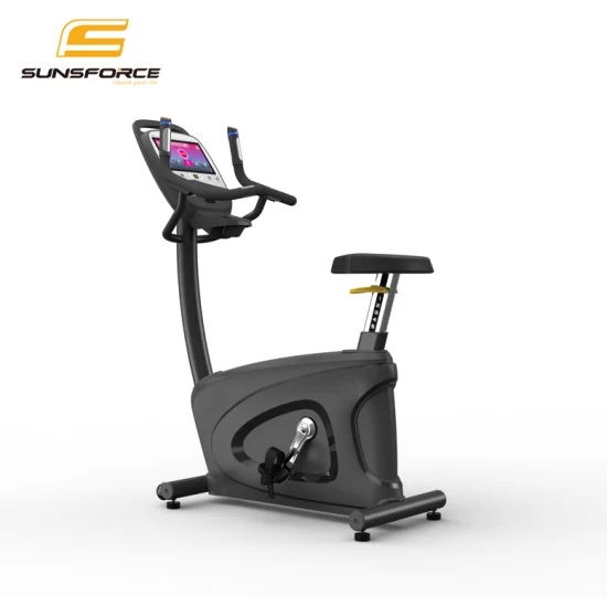 Vendita all'ingrosso Indoor Body Fit Bike Commercial Magnetic Healthware Professionale Palestra Spin/Spinning/Exercise Bike Prezzo per Fitness/Verticale/Gigante/Recumbent